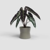 KERAMIČNI NOTRANJI LONEC ARTEVASI DIANA 11 CM TAUPE