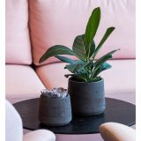 POTTERY POTS PATT BLACK WASHED KERAMIČNI NOTRANJI LONEC