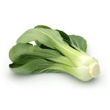 KAPUSNICE L'ORTO FRUTTIFERO KITAJSKO ZELJE 4/1 YUKI F1 KULTIPAK