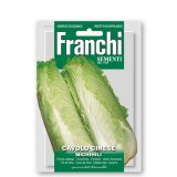 KAPUSNICA FRANCHI SEMENTI KITAJSKO ZELJE PE-TSAI