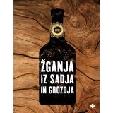 KNJIGA MK ZALOŽBA ŽGANJA IZ SADJA IN GROZDJA