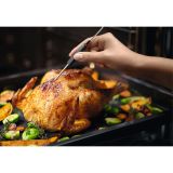 VGRADNA PARNA PEČICA ELECTROLUX KOAAS31WX