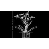 KOCKE LEGO 10311 CREATOR ORHIDEJA