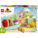 KOCKE LEGO DUPLO BIO-TRŽNICA 10983