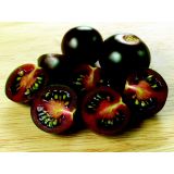 PLODOVKE L'ORTO FRUTTIFERO KOKTAJL PARADIŽNIK 1/1 BARRIO F1 L14