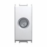 TV / AUDIO VTIČNICA MODUL KONČNA TV BELA, 1 DB, 1M, BOK