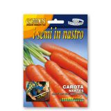 KORENOVKA FRANCHI SEMENTI KORENJE NANTES NA TRAKU