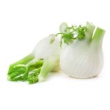 ZELENJAVNA SADIKA L'ORTO FRUTTIFERO KOROMAČ 8/1 MONTEBIANCO KULTIPAK