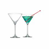 KOZAREC ZA DRUGE PIJAČE MARTINI 21 CL