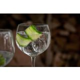 KOZAREC ZA DRUGE PIJAČE ROYAL LEERDAM 650 ML GIN TONIC 4/1