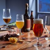 KOZAREC ZA PIVO ROYAL LEERDAM 370 ML STEAMMED PILSNER 45297