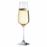 KOZAREC ZA SEKT VERSO CELESTE 3/1 19 CL