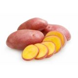 ZELENJAVNA SADIKA L'ORTO FRUTTIFERO KROMPIR RUMENI 4/1 GIALLA DESIREE KULTIPAK