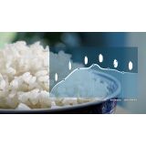 KUHINJSKI APARAT PHILIPS HD3080/80 KUHALNIK ZA RIŽ