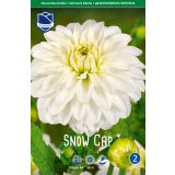 L DALIJA SNOW CAP