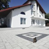 BETONSKI TLAKOVEC SEMMELROCK LA LINA 20/20/8 CM SVETLO GRANITNA