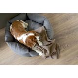 LAMINAT, 10MM, 32. RAZRED EGGER HOME CLASSIC TOSCOLANO HRAST TOBACCO EHL077