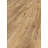 LAMINAT, 12MM, 33. RAZRED KRONOTEX MAMMUT MAKRO HRAST NATUR D 4794 VLAGOOD.