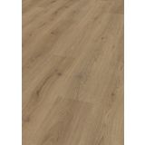 LAMINAT, 8MM, 32. RAZRED SUPERIOR CATWALK HRAST TREND NATUR D 3125