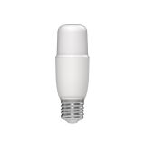 LED ŽARNICA E27 CASAYA CEVASTA T40 7W 810LM 3000K