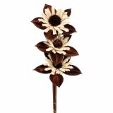 LESENO CVETJE SESTAVLJENO CVETJE NATUR