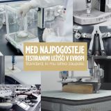 LEŽIŠČE VITAPUR FAMILY MEMOSILVER 2.0 140X200