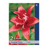 LILIJA HOLLAND BULB MARKET DVOJNA COCKTAIL TWINS