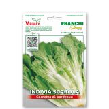 LISTNA ZELENJAVA FRANCHI SEMENTI ENDIVIJA ESKARIOL RUMENA