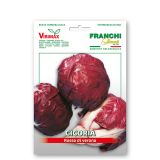 LISTNA ZELENJAVA FRANCHI SEMENTI RADIČ VERONSKI