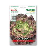 LISTNA ZELENJAVA FRANCHI SEMENTI SOLATA 4 LETNI ČASI VXO 79/5