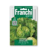 LISTNA ZELENJAVA FRANCHI SEMENTI SOLATA BRASILIANA