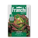 LISTNA ZELENJAVA FRANCHI SEMENTI SOLATA CANASTA