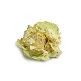 LISTNA ZELENJAVA RADIČ POSEBNOSTI 9 KOS