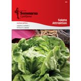 LISTNA ZELENJAVA SEMENARNA SOLATA ATTRAKTION 355
