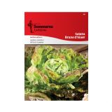 LISTNA ZELENJAVA SEMENARNA SOLATA BRUNE D'HIVER 397