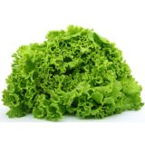LISTNA ZELENJAVA SOLATA GENTILA 9 KOS