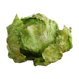 LISTNA ZELENJAVA SOLATA GLAVNATA 9 KOS