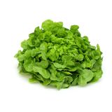 LISTNA ZELENJAVA SOLATA HRASTOV LIST 9 KOS