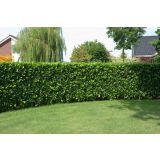 LOVORIKOVEC LOVORIKOVEC L14