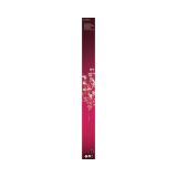 LUČKE LED VEJA 75 CM 3XAA Z ROŽICAMI 75L