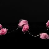 LUČKE MQ 10 LED ROŽICE ROZA TOPLO BELE AA