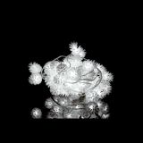 LUČKE MQ 40 LED STORŽI TOPLO BELE 5 UTRIPAJOČIH