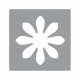 LUKNJAČ,ŠTAMPILJKA,ŠABLON RAYHER LUKNJAČ, MARJETICA IZSEK 1.6 CM