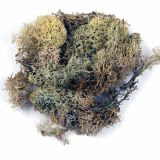 DODATEK ZA VENČEK RAYHER MAH ISLANDSKI, NARAVEN 30 G