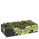 DODATEK ZA JASLICE MAH NARAVNI TEMNO ZELEN