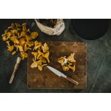 FISKARS MALI KUHARSKI NOŽ NORDEN