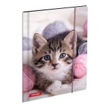 MAPE TARGET Z ELASTIKO A4 ANIMAL BABY 27472