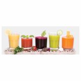 MEŠALNIK BLENDER KRUPS KB 303110