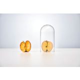 MEŠALNIK BLENDER TEFAL BL 181 D31 FRESHBOOST VAKUUMSKI