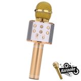 MIKROFON Z ZVOČNIKOM MANTA MIC10 ZLATA